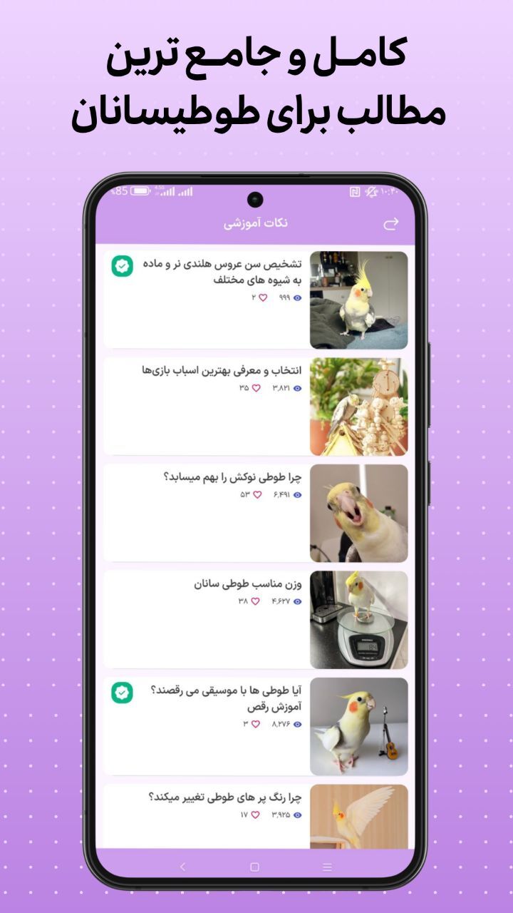 اسکرین شات 4 برنامه ‏‏آموزش عروس‌ هلندی