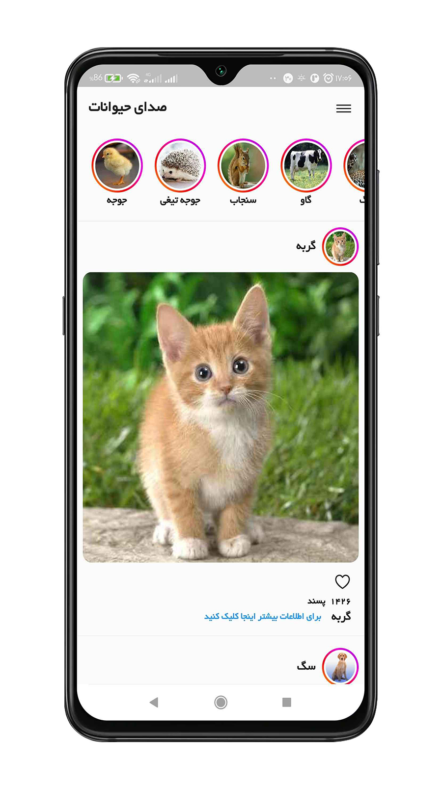 اسکرین شات 2 بازی صدای حیوانات