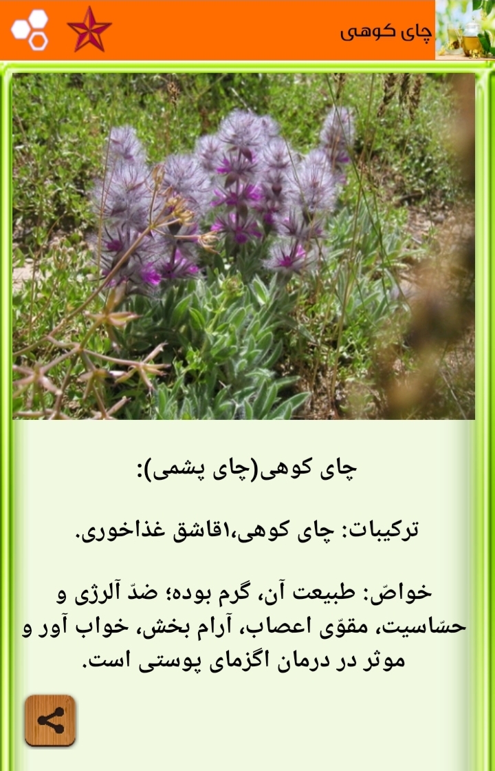 اسکرین شات 4 برنامه دمنوش های گیاهی