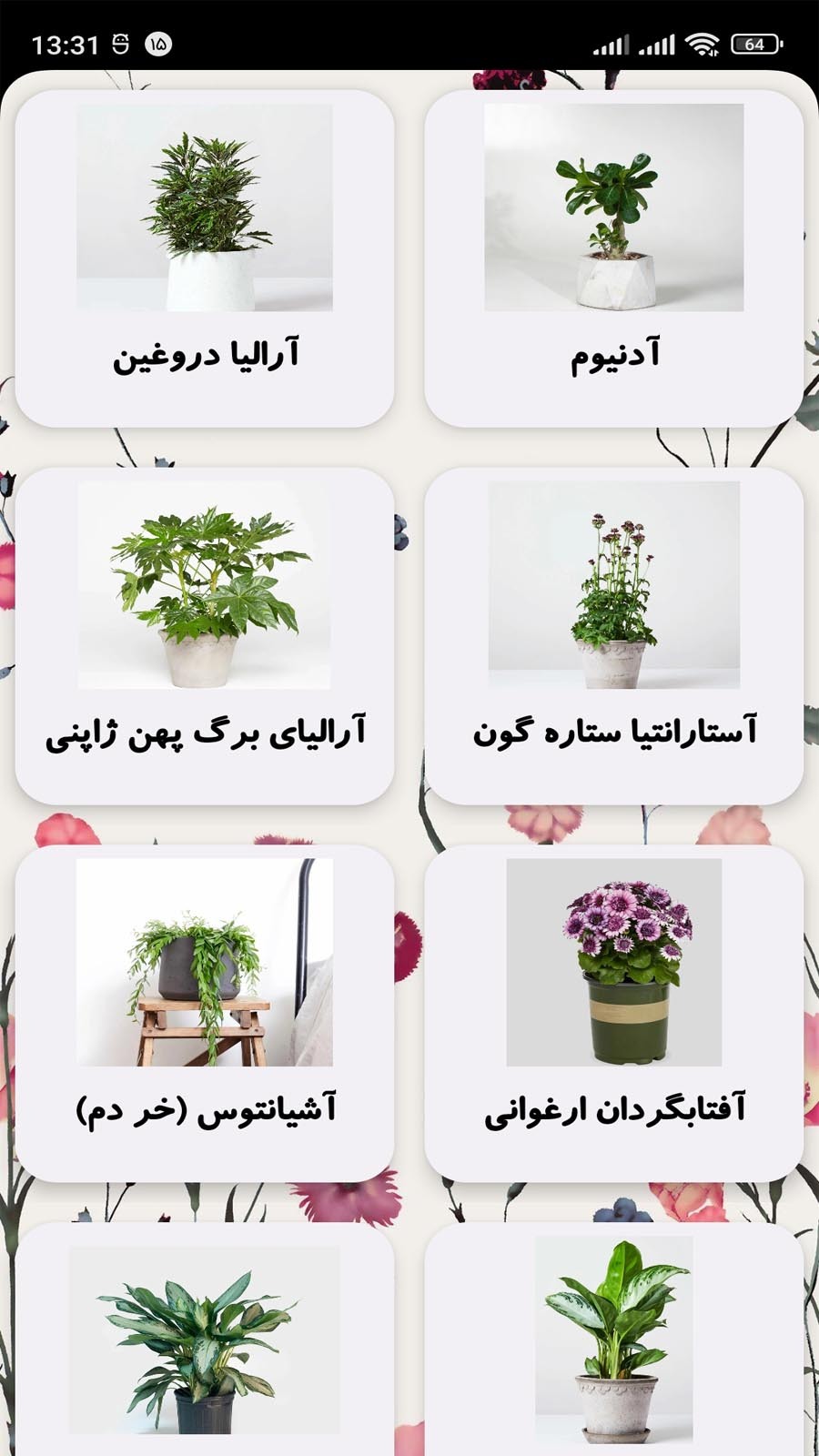 اسکرین شات 3 برنامه گلهای آپارتمانی (گلستان)