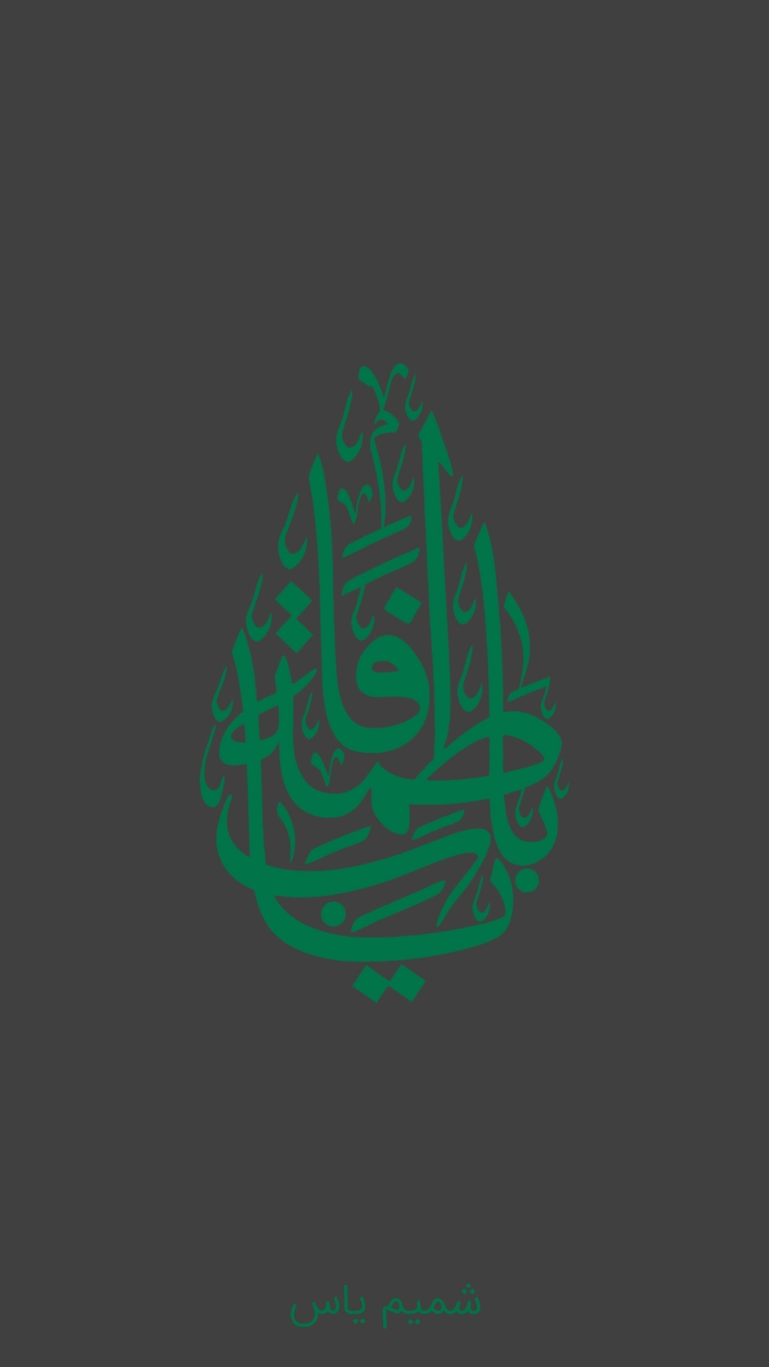 اسکرین شات 1 برنامه زیارت حضرت زهرا