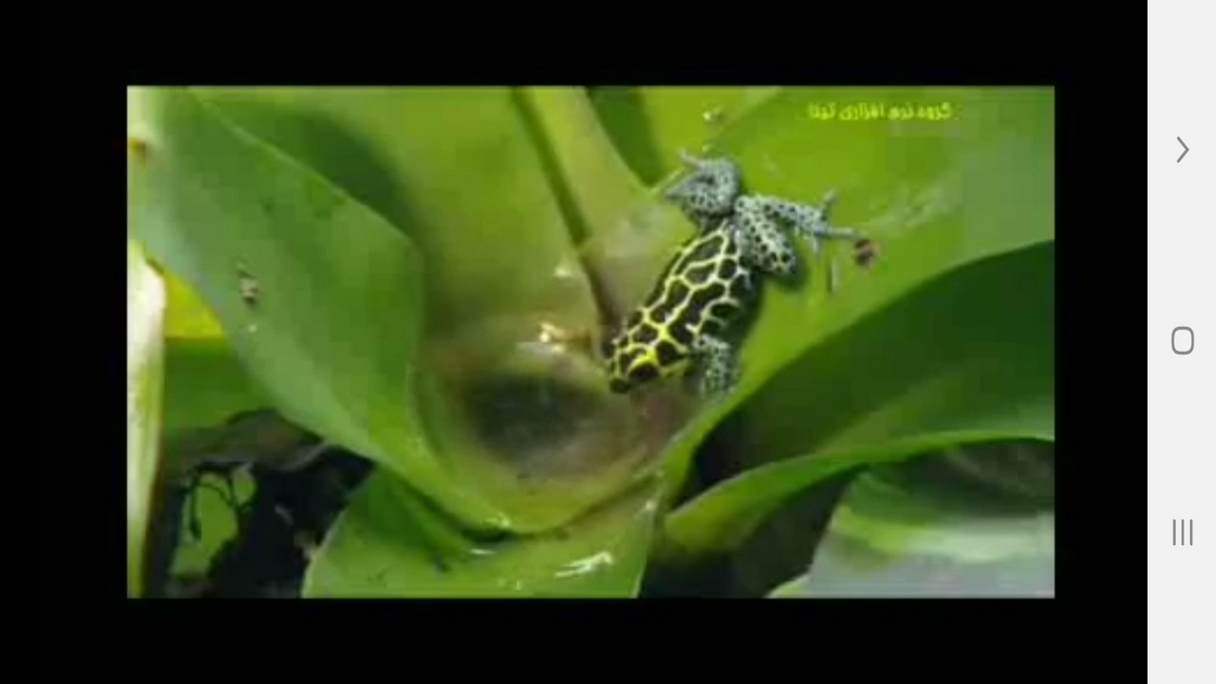 اسکرین شات 2 برنامه دانستنی هایی از دوزیستان