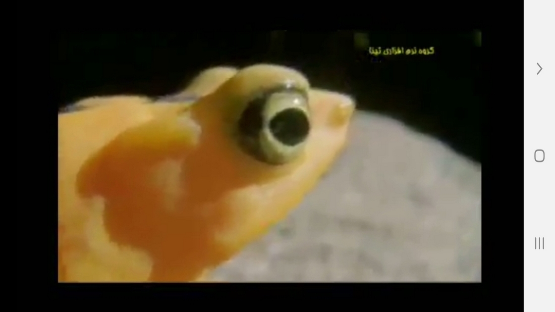 اسکرین شات 4 برنامه دانستنی هایی از دوزیستان