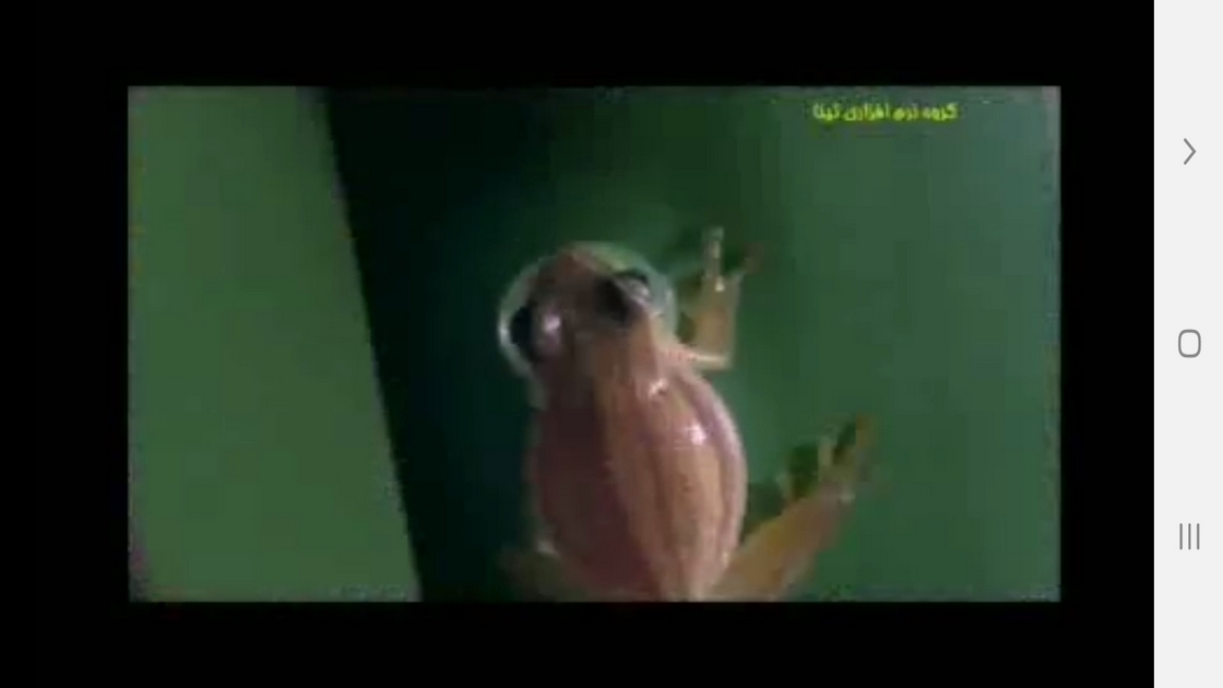 اسکرین شات 3 برنامه دانستنی هایی از دوزیستان