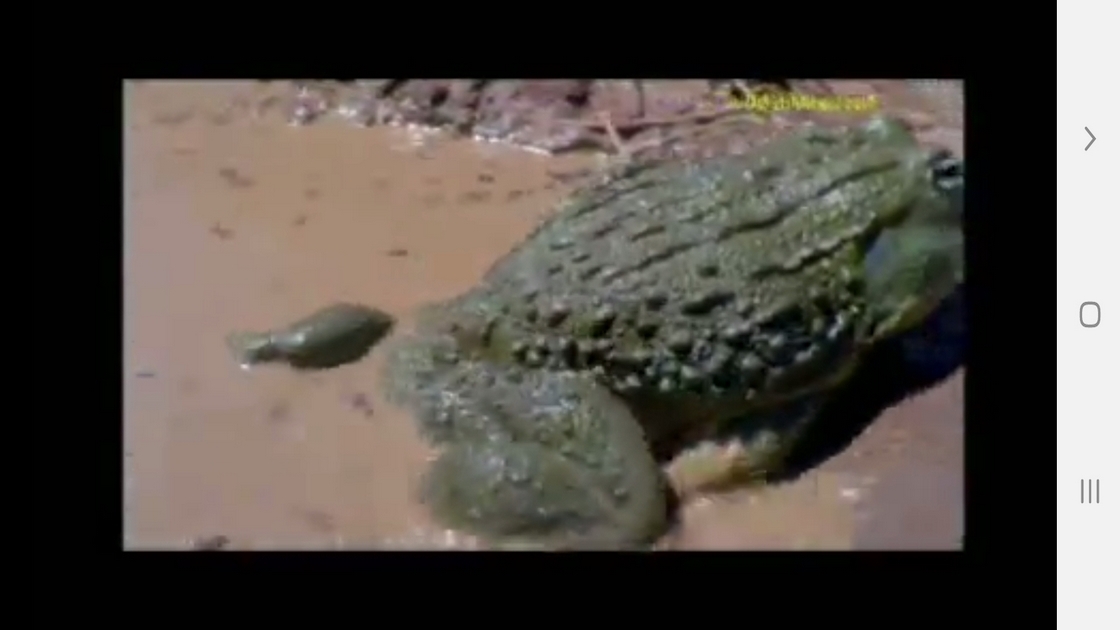 اسکرین شات 9 برنامه دانستنی هایی از دوزیستان