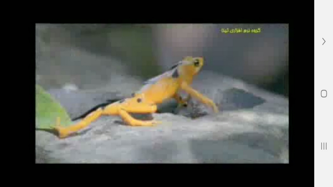 اسکرین شات 6 برنامه دانستنی هایی از دوزیستان