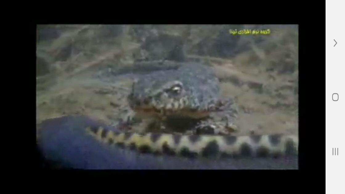 اسکرین شات 7 برنامه دانستنی هایی از دوزیستان