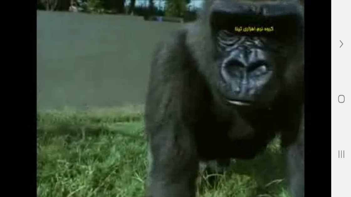 اسکرین شات 6 برنامه دانستنیهایی از عجایب بینایی حیوانات