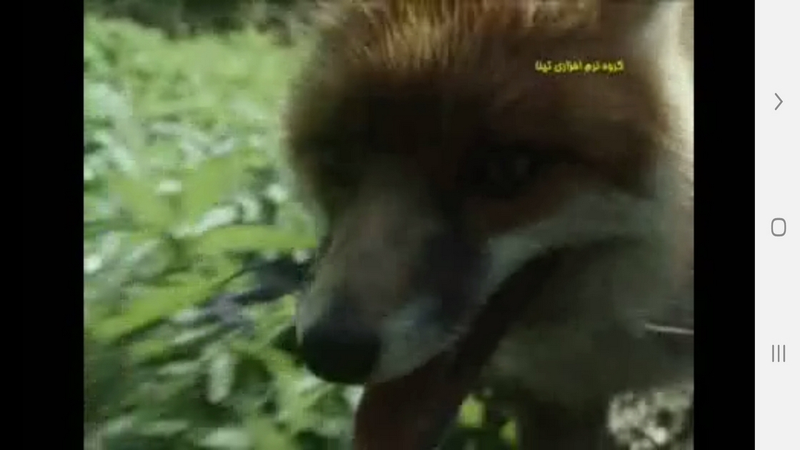 اسکرین شات 8 برنامه دانستنیهایی از عجایب بینایی حیوانات