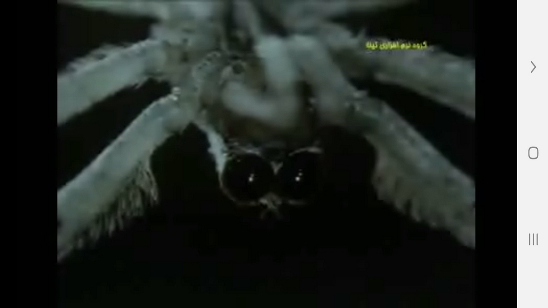 اسکرین شات 3 برنامه دانستنیهایی از عجایب بینایی حیوانات