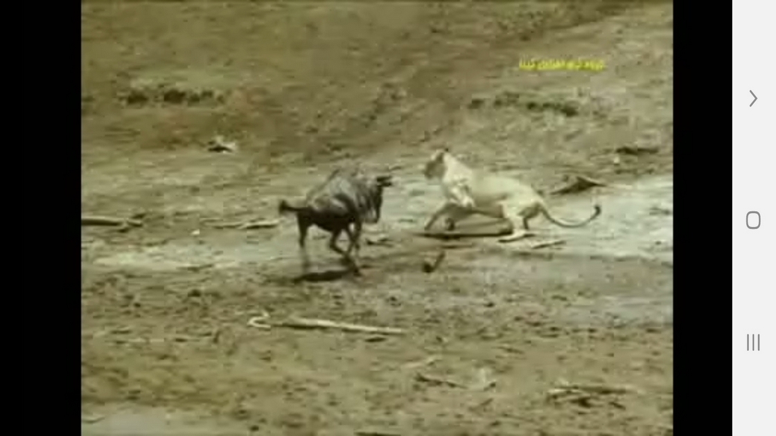 اسکرین شات 9 برنامه دانستنیهایی از عجایب بینایی حیوانات