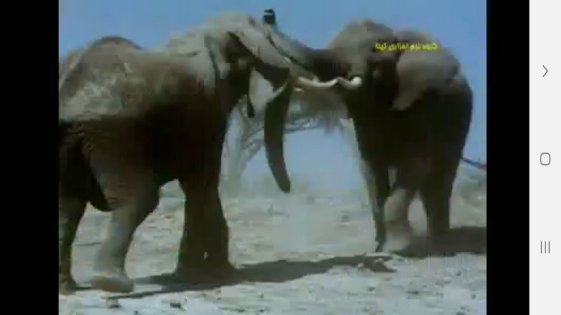 اسکرین شات 8 برنامه دانستنیهایی از عجایب شنوایی حیوانات