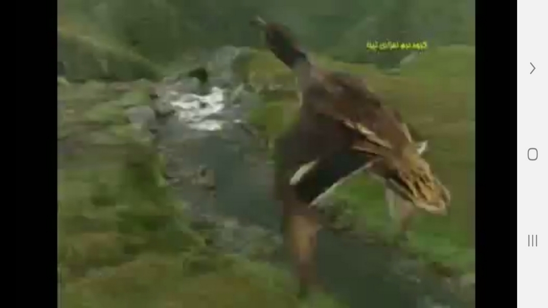 اسکرین شات 7 برنامه دانستنیهایی از عجایب شنوایی حیوانات