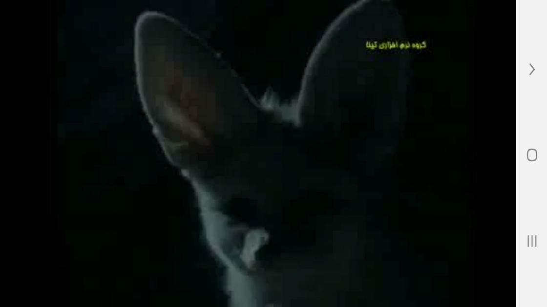 اسکرین شات 2 برنامه دانستنیهایی از عجایب شنوایی حیوانات