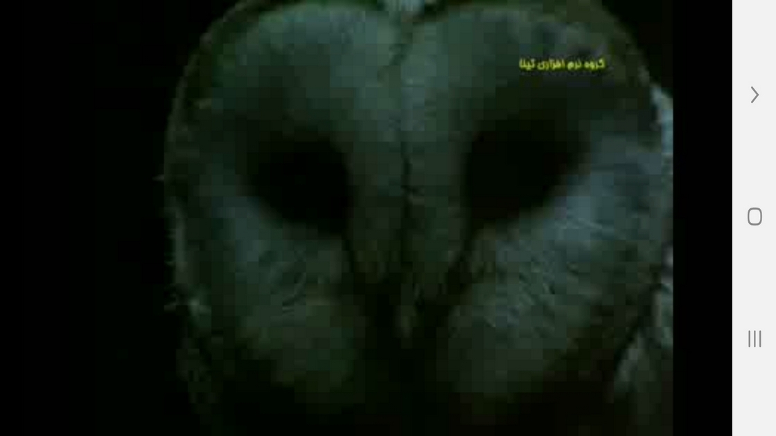 اسکرین شات 4 برنامه دانستنیهایی از عجایب شنوایی حیوانات