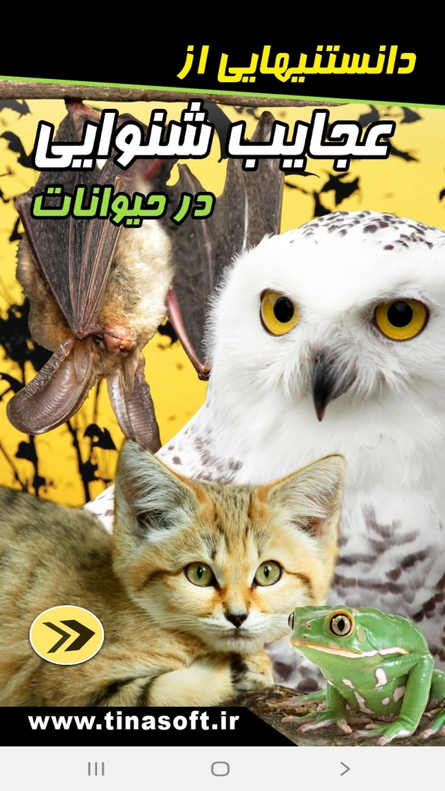 اسکرین شات 1 برنامه دانستنیهایی از عجایب شنوایی حیوانات