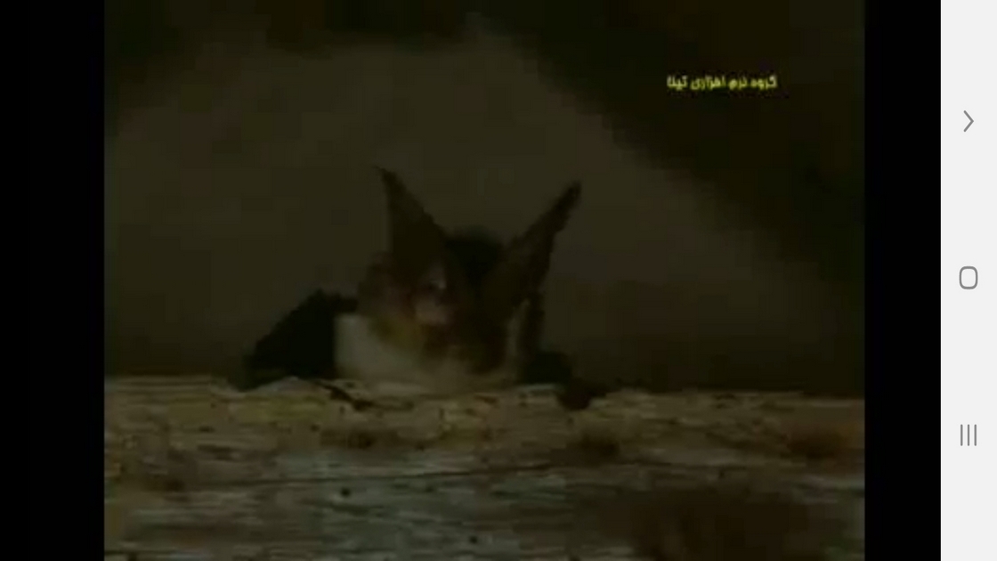 اسکرین شات 5 برنامه دانستنیهایی از عجایب شنوایی حیوانات