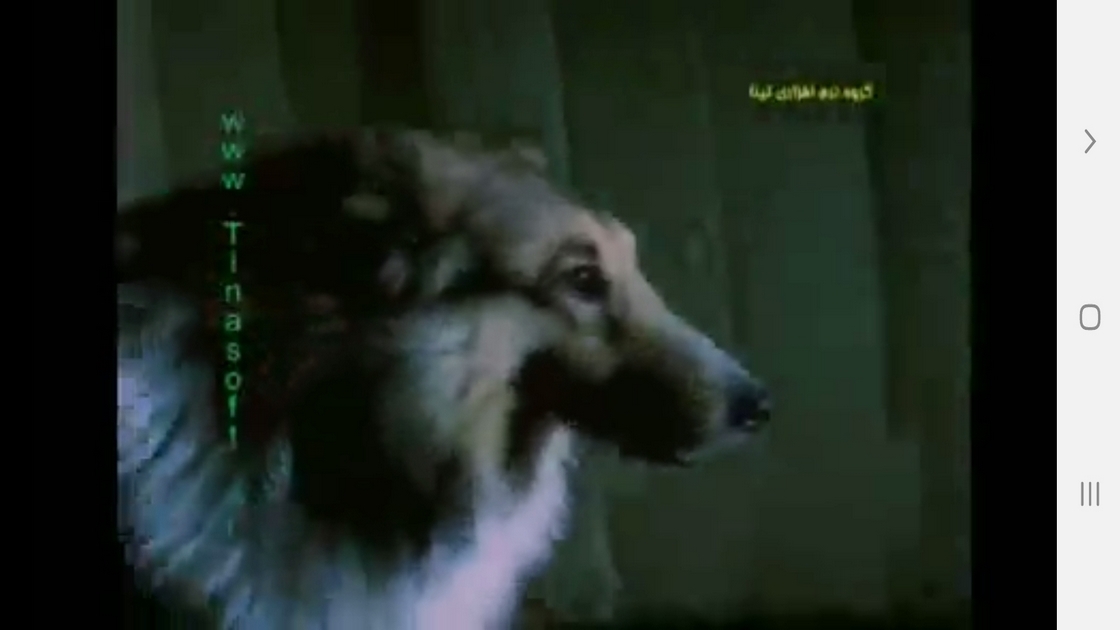 اسکرین شات 2 برنامه دانستنیهایی از عجایب بویایی حیوانات