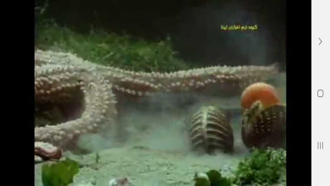 اسکرین شات 9 برنامه دانستنیهایی از عجایب بویایی حیوانات