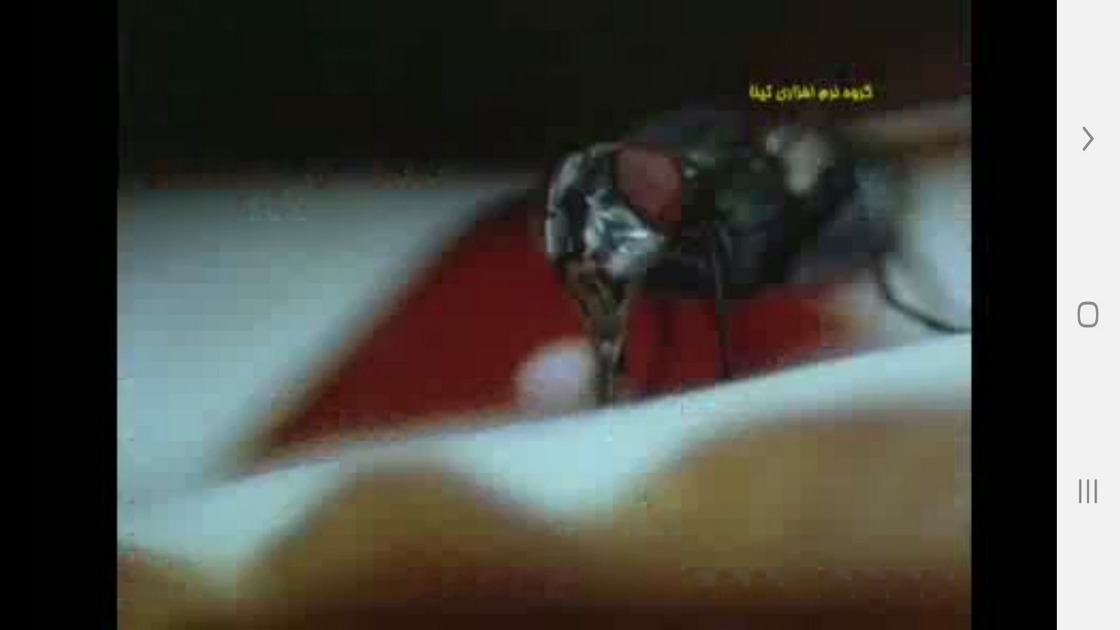 اسکرین شات 4 برنامه دانستنی هایی از درک حس زمان حیوانات