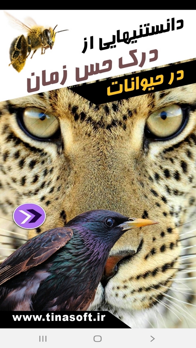 اسکرین شات 1 برنامه دانستنی هایی از درک حس زمان حیوانات