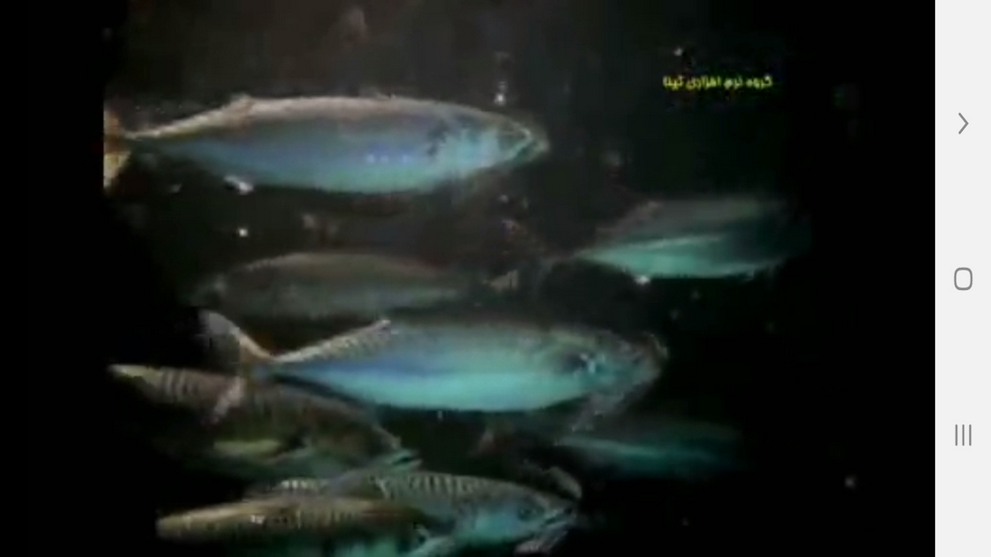 اسکرین شات 6 برنامه ردیابی مسیر و طعمه در حیوانات