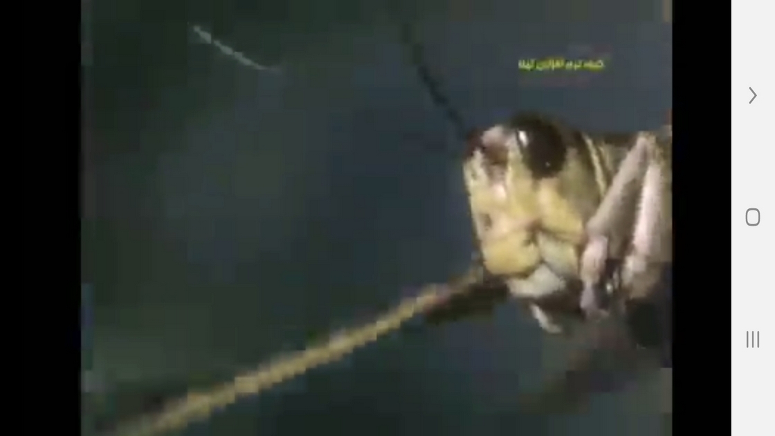 اسکرین شات 3 برنامه ردیابی مسیر و طعمه در حیوانات