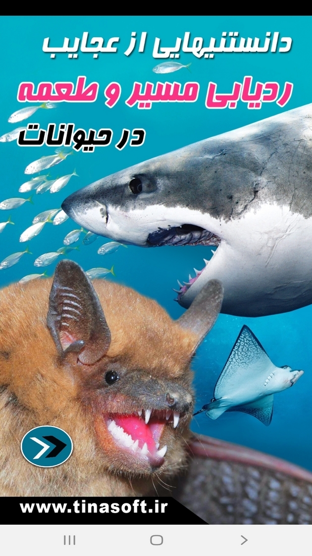 اسکرین شات 1 برنامه ردیابی مسیر و طعمه در حیوانات