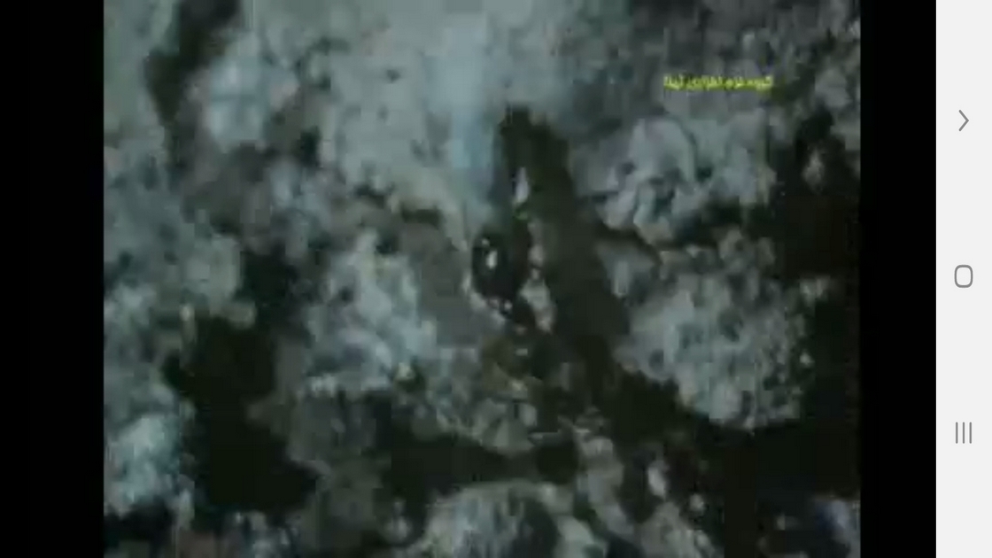 اسکرین شات 9 برنامه ردیابی مسیر و طعمه در حیوانات