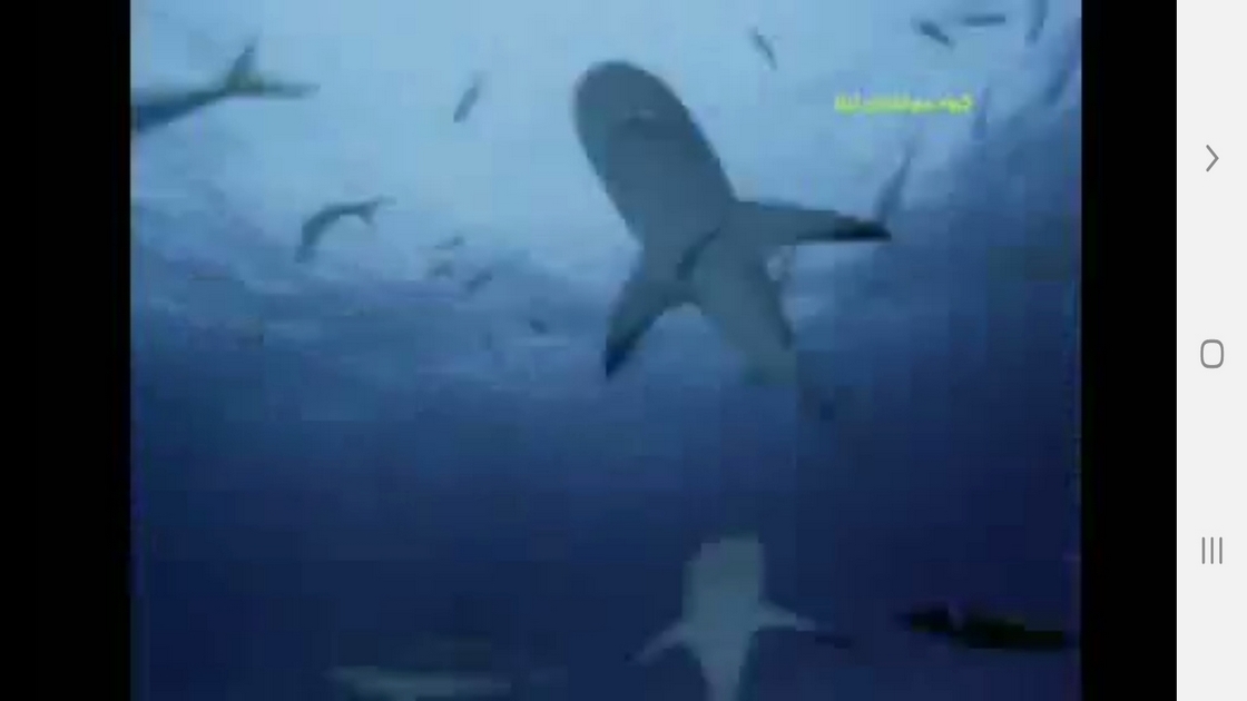 اسکرین شات 5 برنامه ردیابی مسیر و طعمه در حیوانات