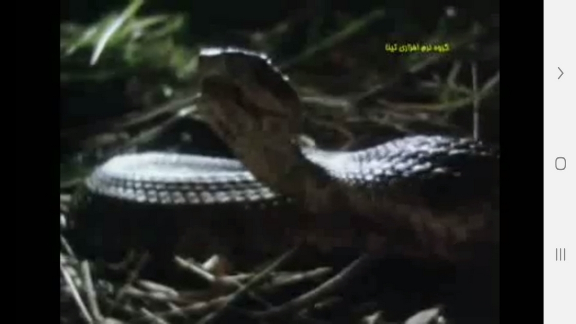 اسکرین شات 8 برنامه ردیابی مسیر و طعمه در حیوانات