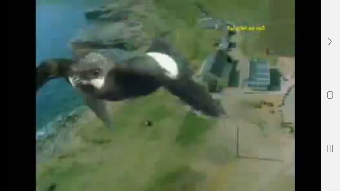 اسکرین شات 7 برنامه ردیابی مسیر و طعمه در حیوانات