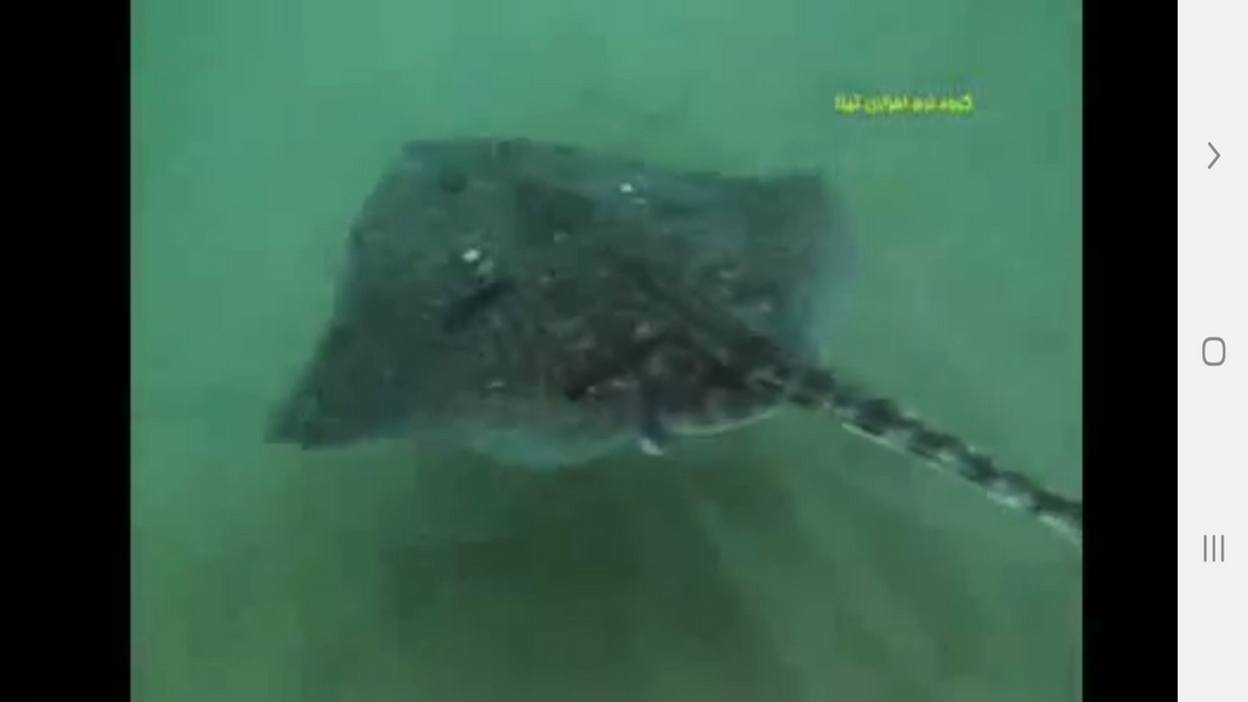 اسکرین شات 4 برنامه ردیابی مسیر و طعمه در حیوانات