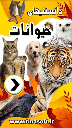 اسکرین شات 1 برنامه دانستنی های حیوانات