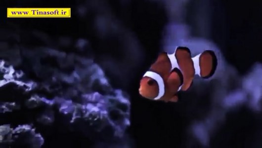 اسکرین شات 10 برنامه آموزش نگهداری ماهی های آکواریومی