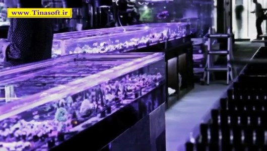 اسکرین شات 8 برنامه آموزش نگهداری ماهی های آکواریومی