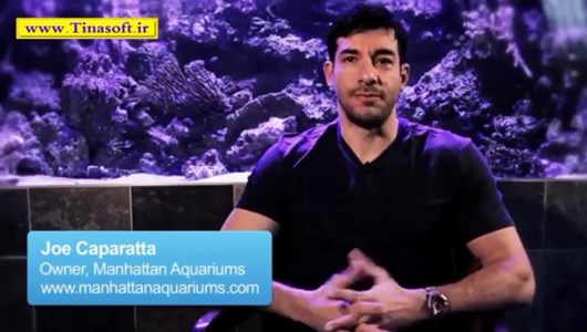 اسکرین شات 2 برنامه آموزش نگهداری ماهی های آکواریومی