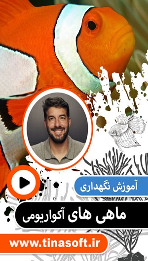 اسکرین شات 1 برنامه آموزش نگهداری ماهی های آکواریومی