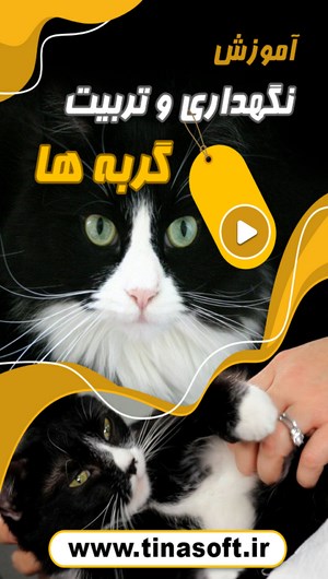 اسکرین شات 1 برنامه آموزش نگهداری و تربیت گربه ها