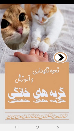اسکرین شات 1 برنامه نحوه نگهداری و آموزش گربه های خانگی