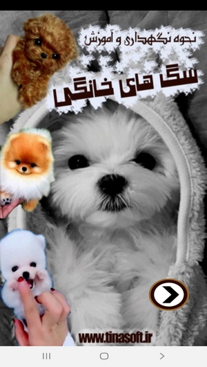 اسکرین شات 1 برنامه نحوه نگهداری و آموزش سگ های خانگی