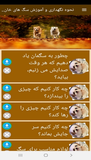اسکرین شات 3 برنامه نحوه نگهداری و آموزش سگ های خانگی