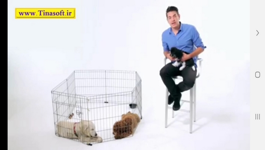 اسکرین شات 6 برنامه نحوه نگهداری و آموزش سگ های خانگی