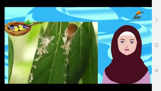 اسکرین شات 2 برنامه آموزش به کلاس دوم ها با تیناسافت