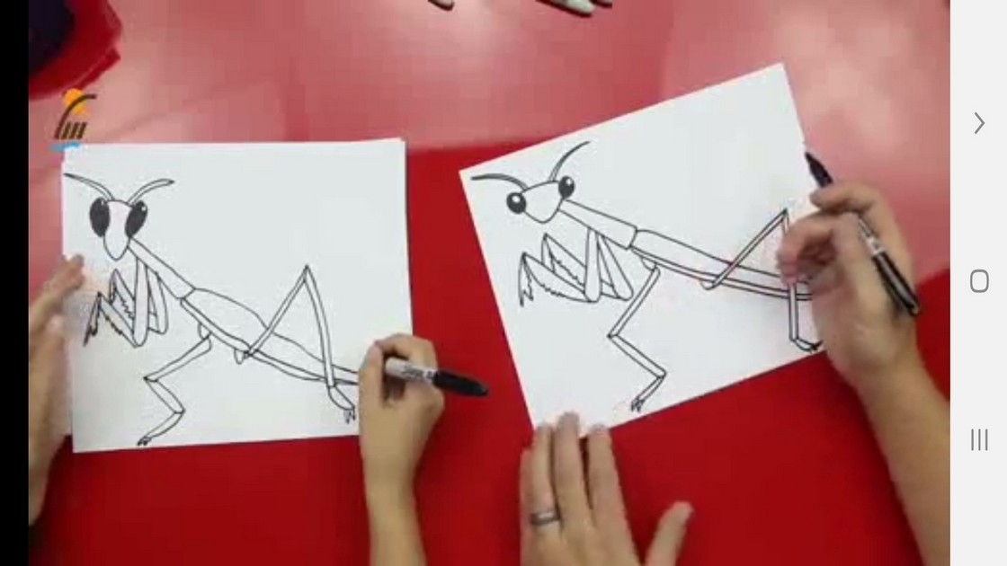 اسکرین شات 5 برنامه ‏نقاشی دایناسور و حشرات برای کودکان