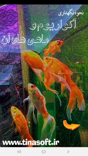 اسکرین شات 1 برنامه نحوه نگهداری آکواریوم و ماهی های آن