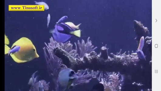 اسکرین شات 8 برنامه نحوه نگهداری آکواریوم و ماهی های آن