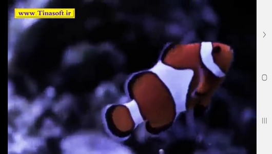 اسکرین شات 2 برنامه نحوه نگهداری آکواریوم و ماهی های آن