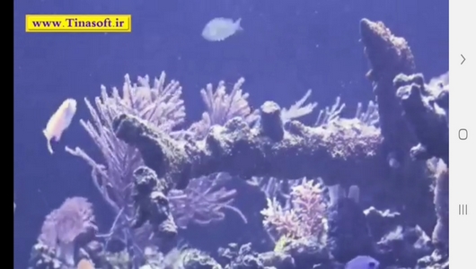 اسکرین شات 6 برنامه نحوه نگهداری آکواریوم و ماهی های آن