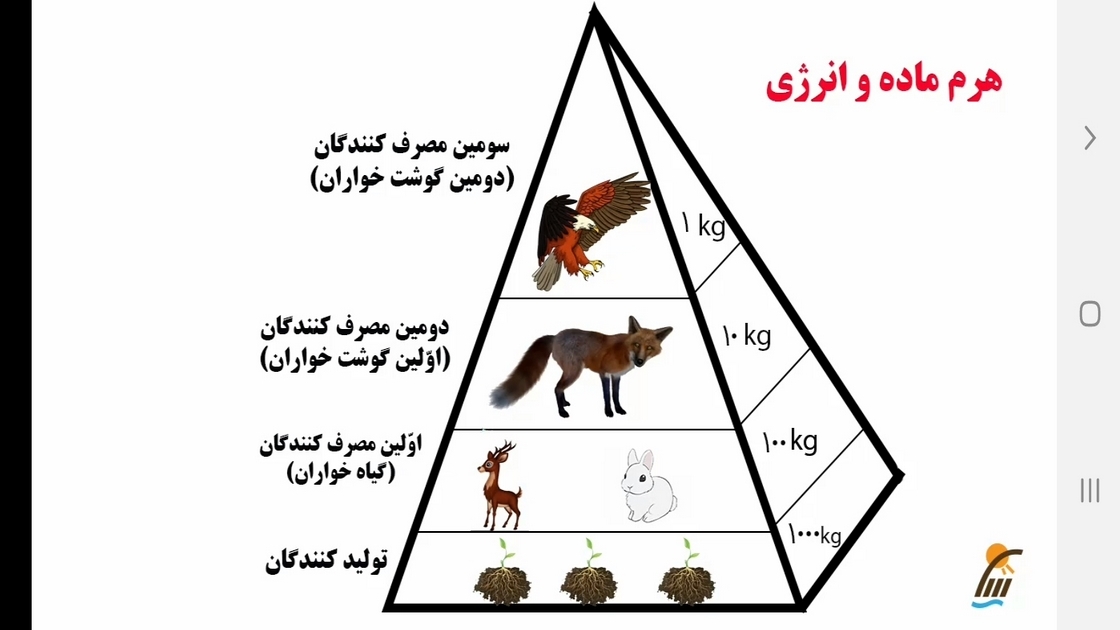 اسکرین شات 4 برنامه معلم خصوصی کلاس نهمی ها